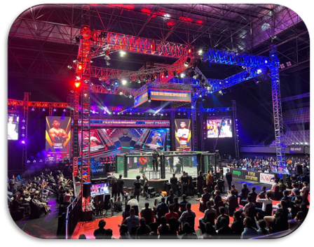 Combat Sport